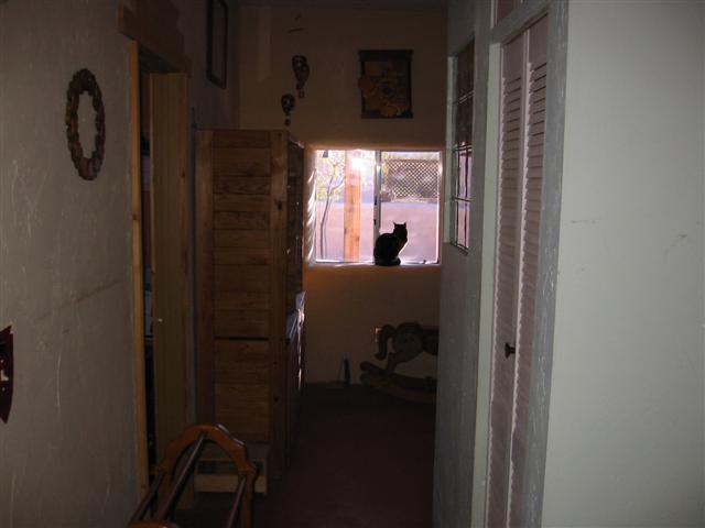 Hallway from bath. Portia on her favorite windowsill. The windowsills are two feet deep.
